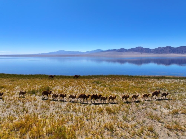 
                                    Осенние пейзажи в Китае
                                