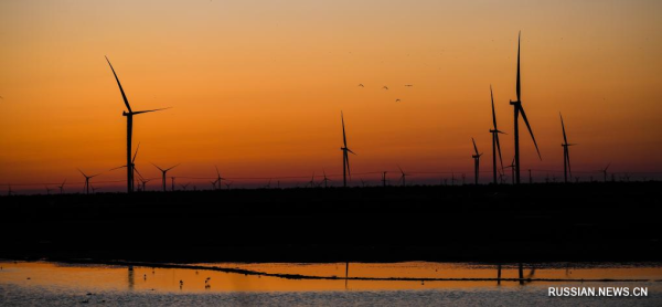 
                                    Водно-болотные угодья в прибрежных районах Желтого моря на востоке Китая
                                