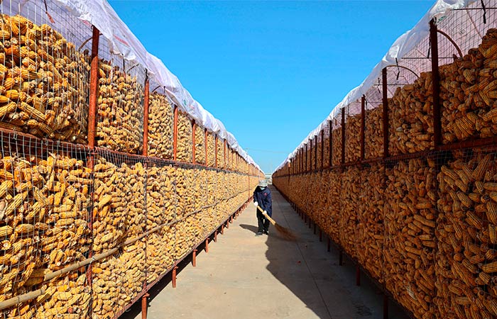 Китай с 10 марта введет импортные пошлины на ряд с/х товаров из США Китай с 10 марта введет импортные пошлины на ряд с/х товаров из США