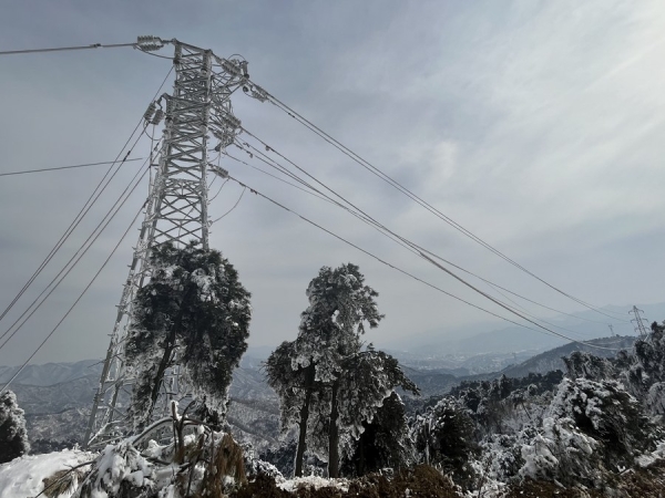 В пострадавшем от снегопада уезде пров. Шаньси возобновились занятия
В пострадавшем от снегопада уезде пров. Шаньси возобновились занятия