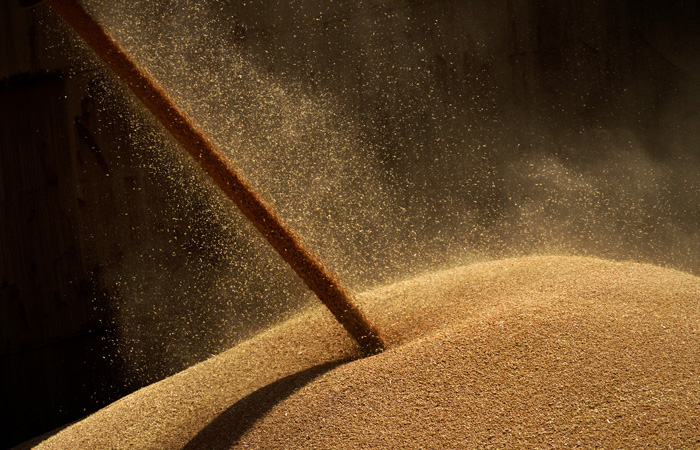 СПбМТСБ может стать пилотной площадкой для создания Зерновой биржи БРИКС СПбМТСБ может стать пилотной площадкой для создания Зерновой биржи БРИКС