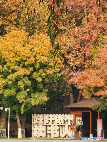 
                                    Красивые пейзажи сезона "лидун" в Китае
                                