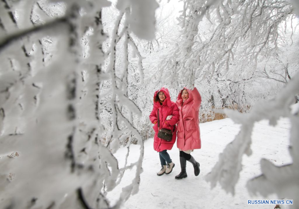 
                                    Люди наслаждаются пейзажем изморози в городе Ляньюньган
                                