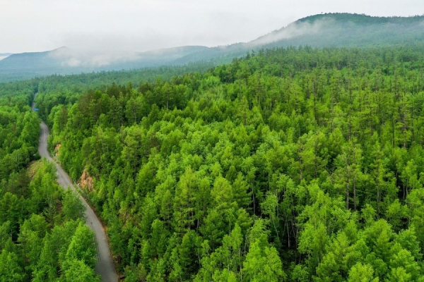 АР Внутренняя Монголия сообщил о прогрессе в борьбе с опустыниванием
АР Внутренняя Монголия сообщил о прогрессе в борьбе с опустыниванием