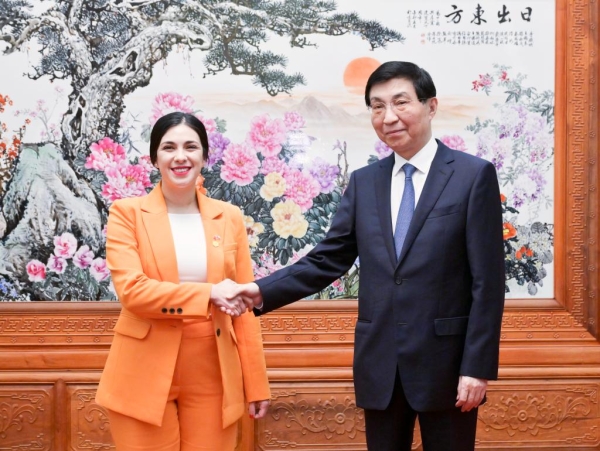 
                                    Председатель ВК НПКСК провел встречу со спикером Палаты депутатов Чили
                                