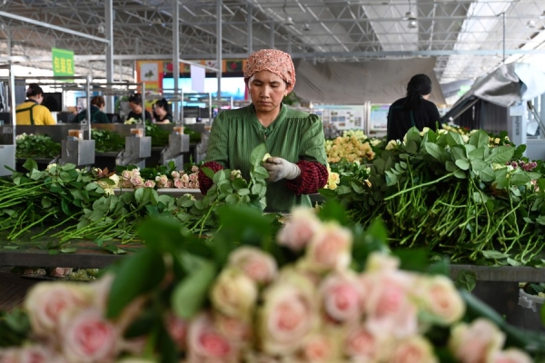 В пров. Ганьсу запустили международный грузовой авиарейс в Центральную Азию
В пров. Ганьсу запустили международный грузовой авиарейс в Центральную Азию