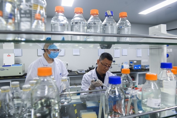 Китайские ученые разработали новый метод для сдерживания побочного эффекта при иммунотерапии рака
Китайские ученые разработали новый метод для сдерживания побочного эффекта при иммунотерапии рака