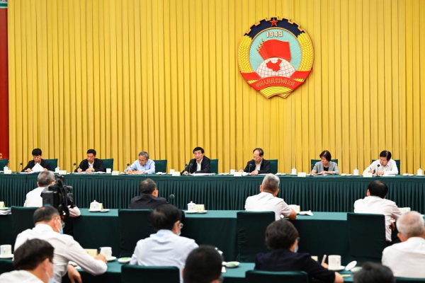 
                                    Председатель ВК НПКСК подчеркнул важность содействия здоровому экономическому развитию
                                