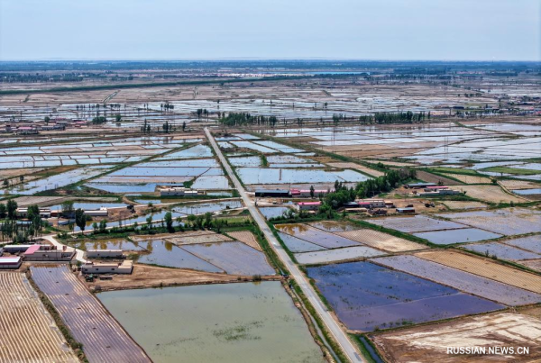 
                                    Орошаемая водой реки Хуанхэ аграрная зона в АР Внутренняя Монголия
                                