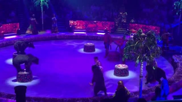 Александр Овечкин вручил "Золотого идола" акробатам из России