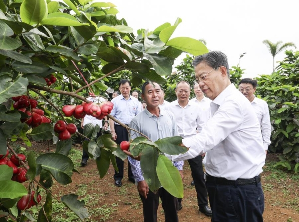 Председатель ПК ВСНП призывает содействовать высококачественному развитию работы ВСНП
Председатель ПК ВСНП призывает содействовать высококачественному развитию работы ВСНП