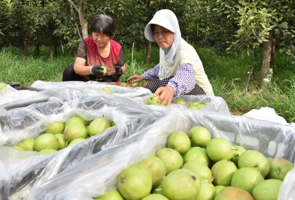 
                                    Сельскохозяйственный банк Китая усилил кредитную поддержку частному сектору экономики
                                