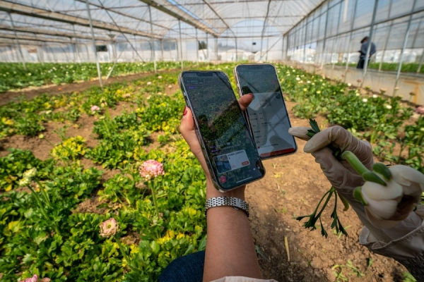 Розничные онлайн-продажи в Китае стабильно росли в первые 10 месяцев 2023 года
                                 
                                    Розничные онлайн-продажи в Китае стабильно росли в первые 10 месяцев 2023 года