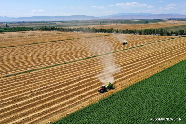 
                                    Китай предложил обеспечить продовольственную безопасность по 8 направлениям 
                                