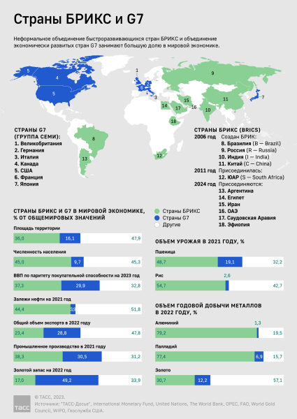 Эксперт призвал страны БРИКС объединить усилия в сфере информационной безопасности