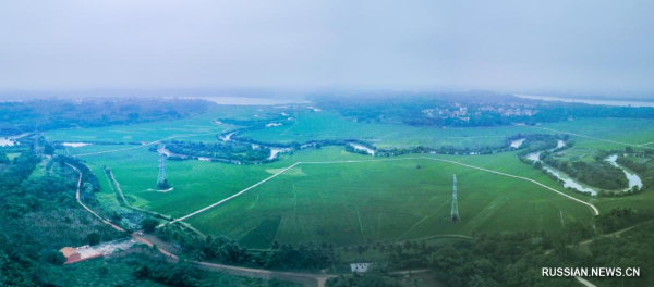 
                                    Рисовое поле на острове Хайнань
                                
