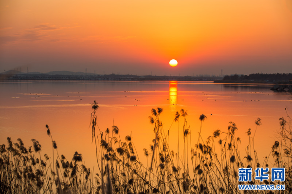 
                                    Красивые пейзажи в Национальном парке водно-болотных угодий "Чишаньху"  
                                